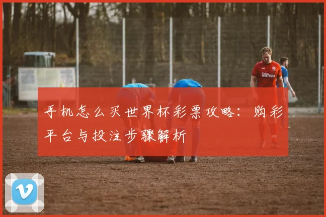 手机怎么买世界杯彩票攻略：购彩平台与投注步骤解析